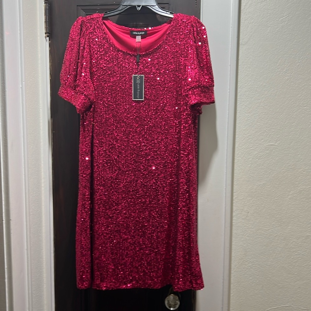 Cable& Gauge all over sequin dress